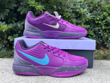 Authentic Nike JA 2 Preheat EP Purple