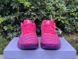 Authentic Nike JA 2 Preheat EP Purple/Red