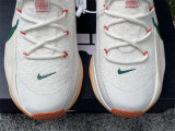 Authentic Nike LeBron TR 1 White/Green/Orange