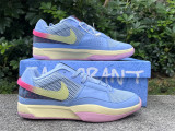 Authentic Nike JA 1 EP OFF White