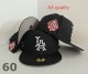Los Angeles Dodgers 59FIFTY Hat (173)