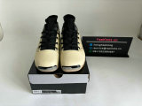 Authentic Air Jordan 17 Beach