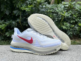Nike Pegasus Premium（10）