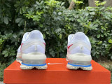 Nike Pegasus Premium（10）