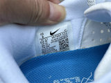 Nike Pegasus Premium（10）