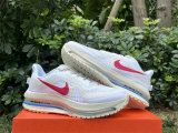 Nike Pegasus Premium（10）