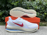 Nike Pegasus Premium（10）