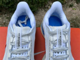 Nike Pegasus Premium（10）