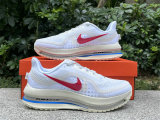 Nike Pegasus Premium（10）