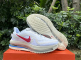 Nike Pegasus Premium（10）
