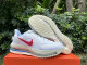 Nike Pegasus Premium（10）