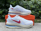 Nike Pegasus Premium（10）