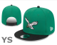 NFL Philadelphia Eagles Snapback Hat (295)