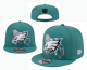 NFL Philadelphia Eagles Snapback Hat (296)