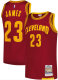 Men's Cleveland Cavaliers LeBron James Mitchell & Ness Wine Hardwood Classics 2015-16 Authentic Jersey