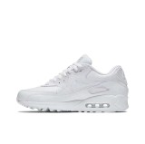 Nike Air Max 90 Shoes (109)