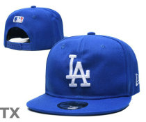 MLB Los Angeles Dodgers Snapback Hat (417)