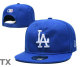 MLB Los Angeles Dodgers Snapback Hat (417)