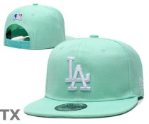 MLB Los Angeles Dodgers Snapback Hat (412)