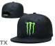 Monster Snapback Hat (20)