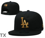 MLB Los Angeles Dodgers Snapback Hat (416)