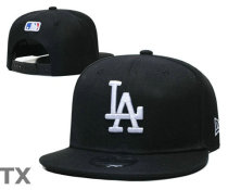 MLB Los Angeles Dodgers Snapback Hat (409)