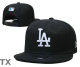 MLB Los Angeles Dodgers Snapback Hat (409)