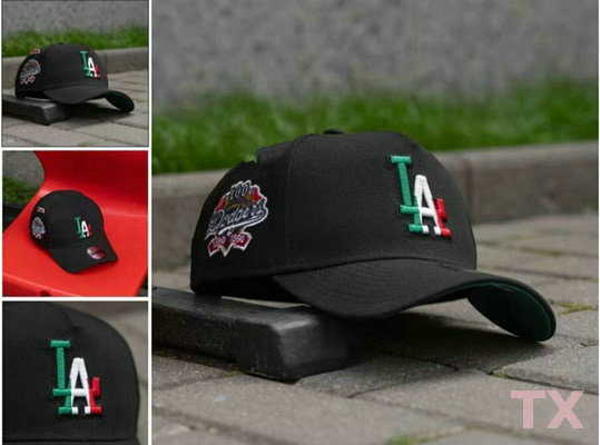 MLB Los Angeles Dodgers Snapback Hat (413)
