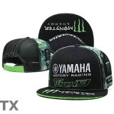 Monster Snapback Hat (24)