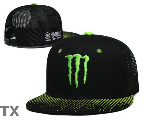 Monster Snapback Hat (18)