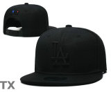 MLB Los Angeles Dodgers Snapback Hat (426)