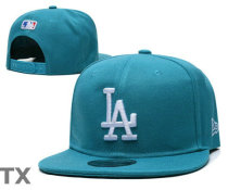 MLB Los Angeles Dodgers Snapback Hat (419)