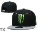 Monster Snapback Hat (11)