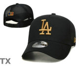 MLB Los Angeles Dodgers Snapback Hat (411)