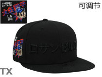 MLB Los Angeles Dodgers Snapback Hat (422)