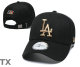 MLB Los Angeles Dodgers Snapback Hat (424)