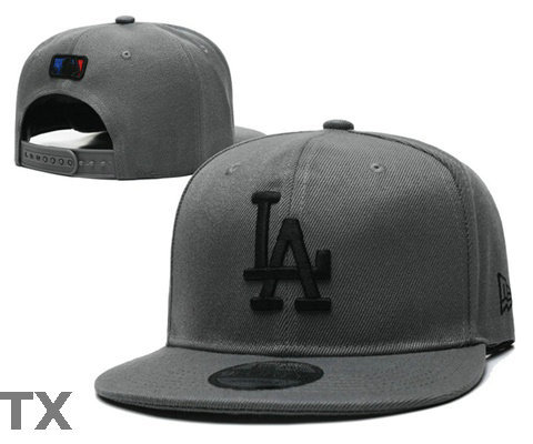 MLB Los Angeles Dodgers Snapback Hat (433)
