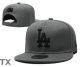 MLB Los Angeles Dodgers Snapback Hat (433)