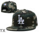 MLB Los Angeles Dodgers Snapback Hat (428)