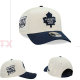 MLB Toronto Blue Jays Snapback Hat (118)