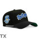 MLB Los Angeles Dodgers Snapback Hat (434)