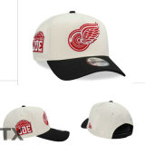 NHL Detroit Red Wings Snapback Hat (29)