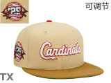 MLB St Louis Cardinals Snapback Hat (95)