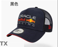 Red Bull Snapback Hat (46)