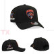 NHL Florida Panthers Snapback Hat (2)