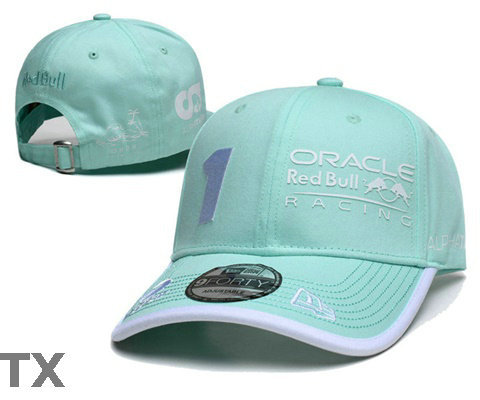 Red Bull Snapback Hat (44)