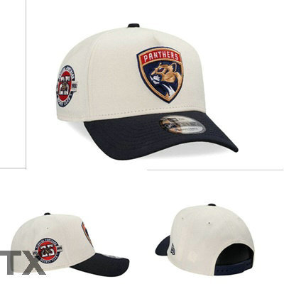 NHL Florida Panthers Snapback Hat (1)