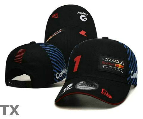 Red Bull Snapback Hat (39)
