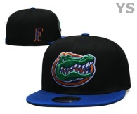 NCAA Florida Gators Snapback Hat (31)