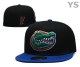 NCAA Florida Gators Snapback Hat (31)